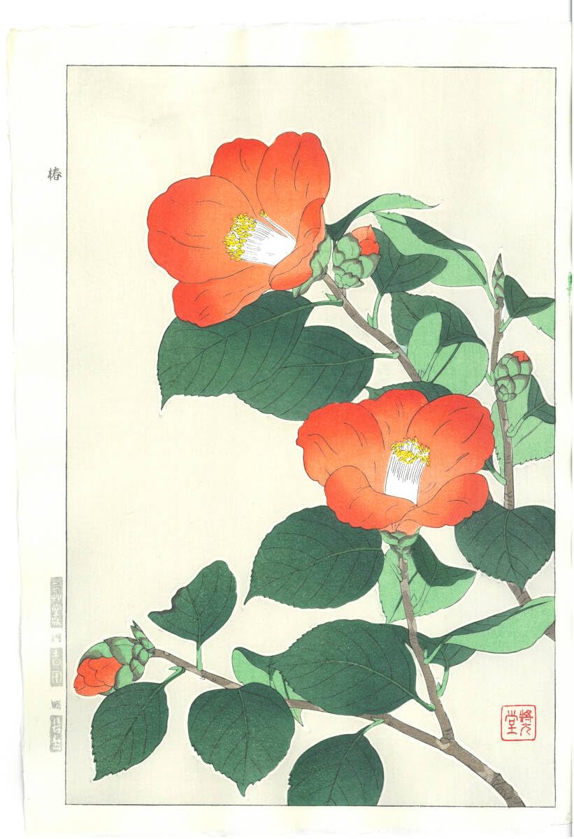 Amazon.co.jp: 河原崎奨堂 木版画 50 椿 Camellia 花版画 : Toys